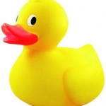 THANK YOU!  The Great Maelor Duck Race!!!